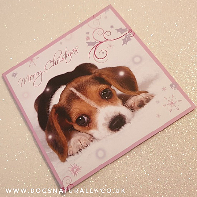 Snowflakes Falling Puppy Christmas Card Pack